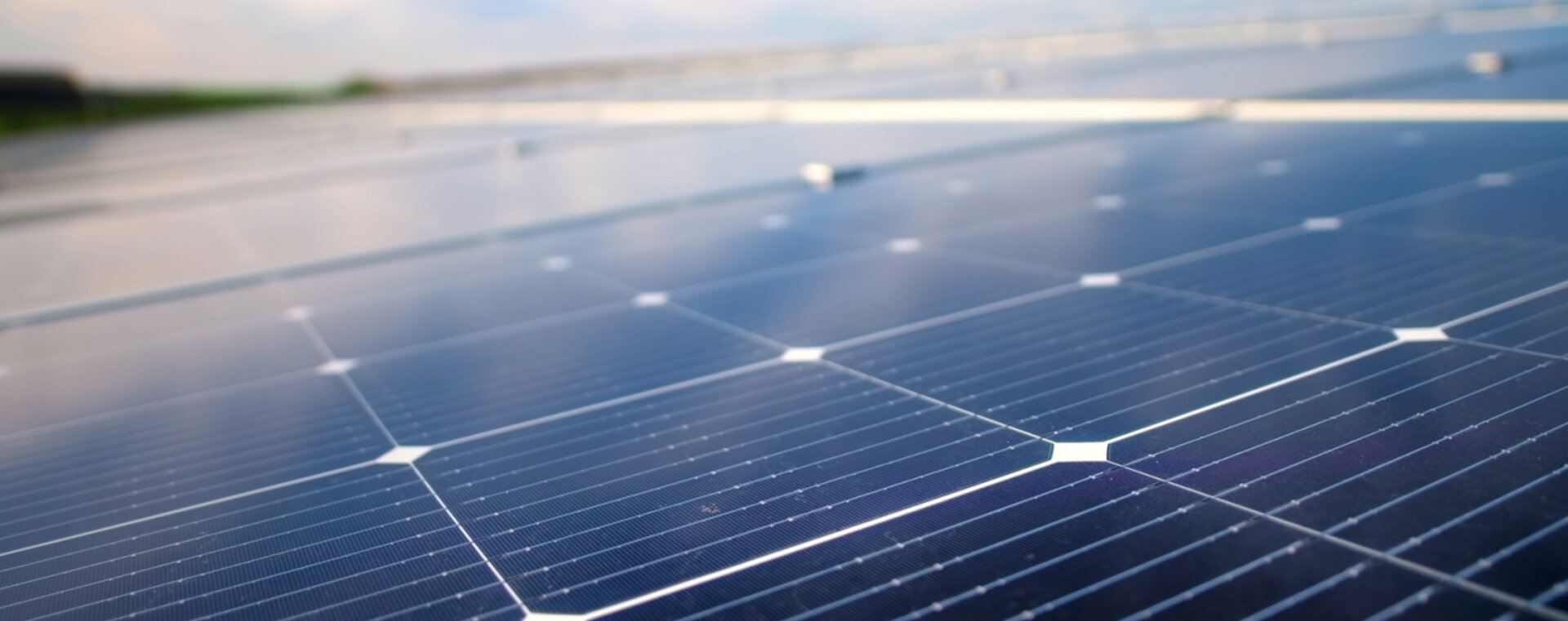 Zehnder, Sustainability, report ,Focus stage image, web