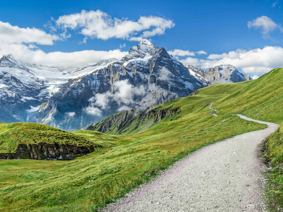 blue mountain, nature healthy climate